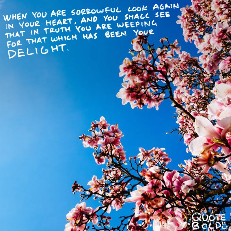 35+ Condolences Quotes [Images, Tips, and FREE eBook] | QuoteBold