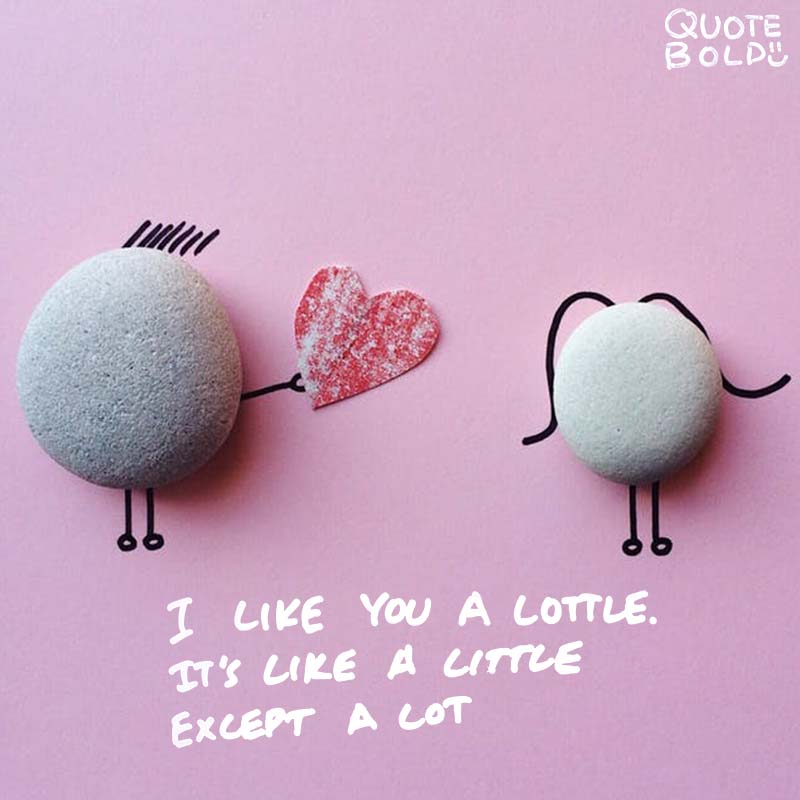 23 Best Corny  Love  Quotes  to Lighten the Mood QuoteBold