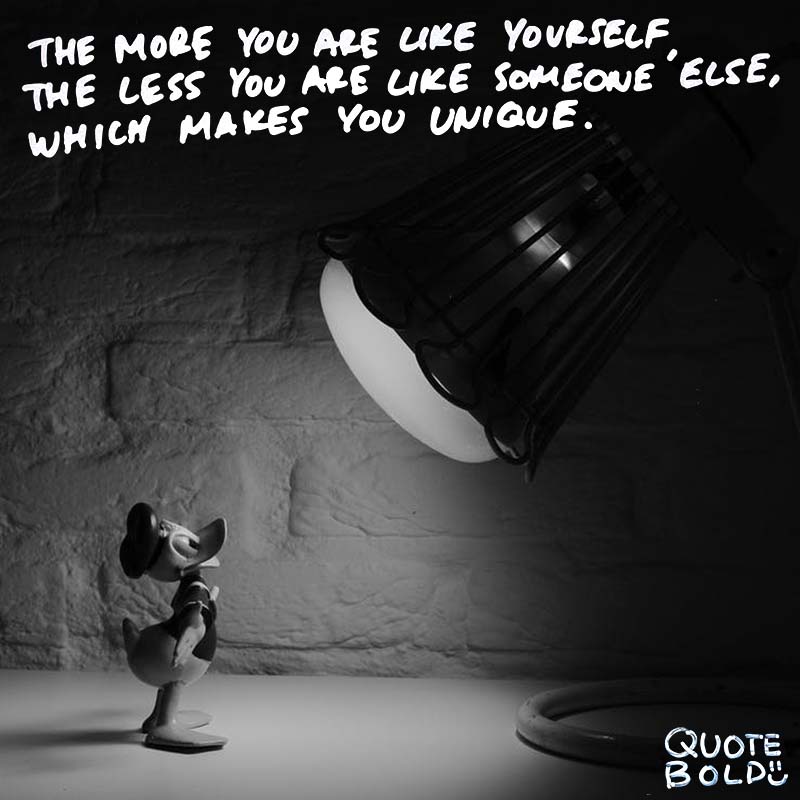 Regulae: Myself Focus On Yourself Quotes. 