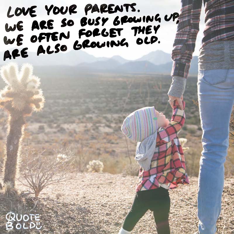 Top 100+ Grow Up And Get A Life Quotes