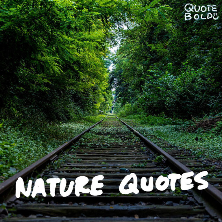 citáty o přírodě