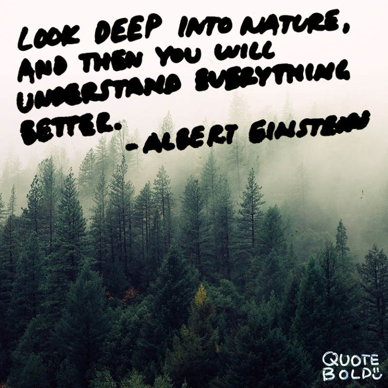 51+ Best Nature Quotes To Inspire Your Day 