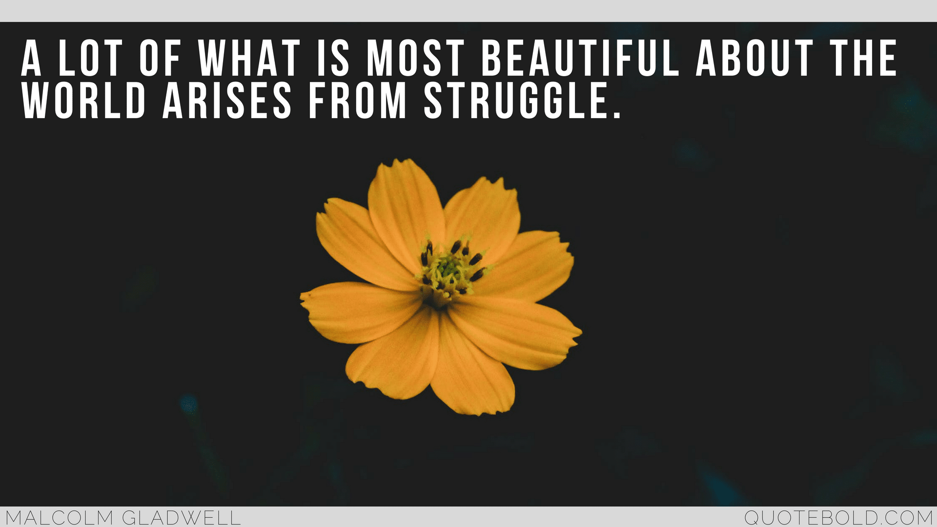 35+ Short Quotes about Struggle and Pain w/Images - QuoteBold