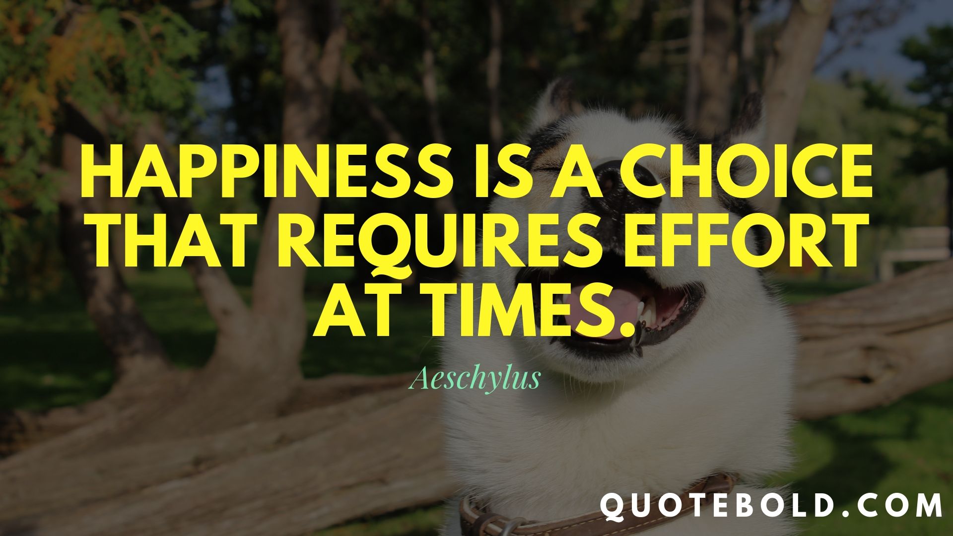 95 Short Quotes About Happiness To Make You Smile | QuoteBold