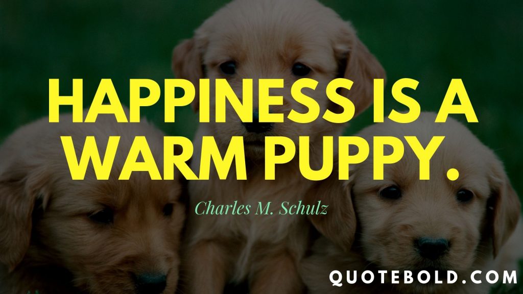 short happiness quote puppy