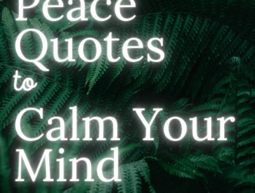 Mírové citáty pro uklidnění mysli