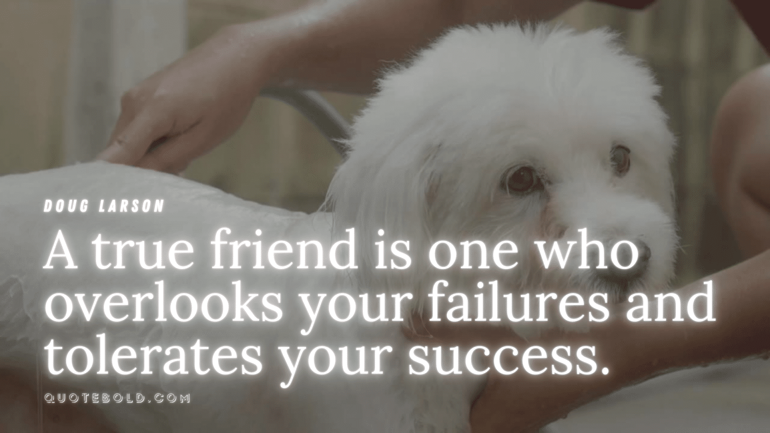 friendship unforgettable memories quotes friendship unforgettable memories quotes