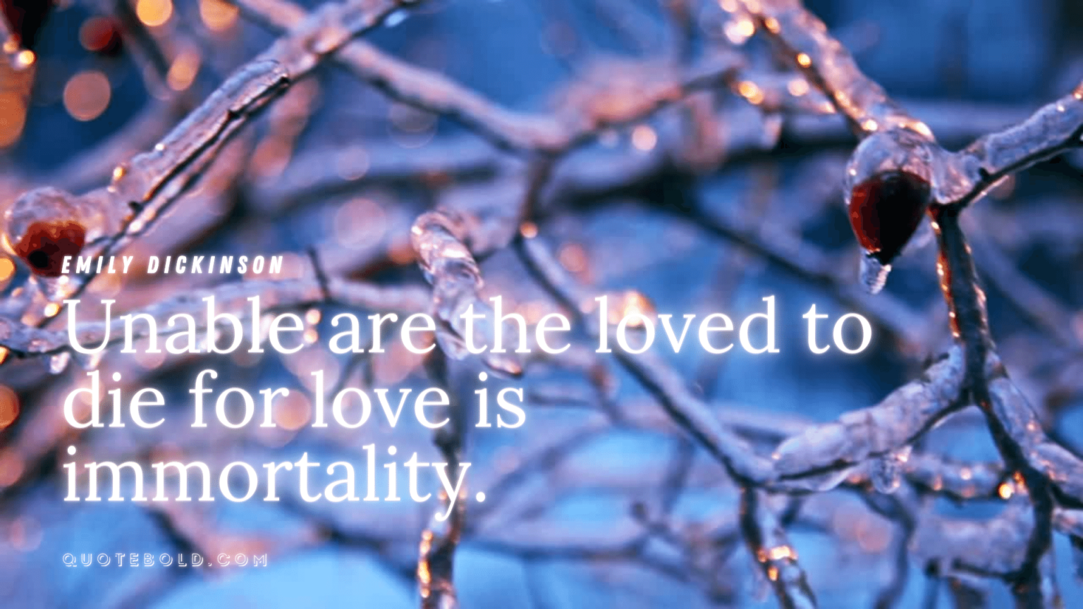 40-small-quotes-with-big-meaning-images-video-quotebold